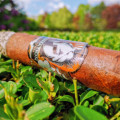 Man O War Ruination